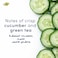 Dove Antiperspirant Roll-On, Cucumber and Green Tea, 50ml