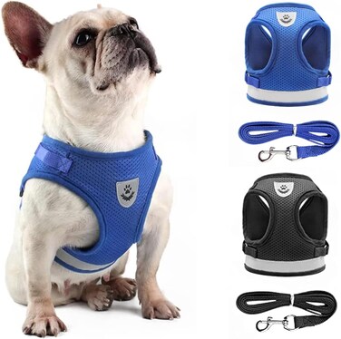 Harness - D-210909-13 - S