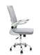 Galaxy Design Black Ergonomic Office Chair &ndash; High Back Mesh Chair with Lumbar Support &amp; Adjustable Features