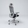 Galaxy Design Black &amp; Grey Ergonomic Office Chair &ndash; Adjustable Headrest &amp; Lumbar Support Computer Chair