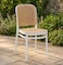 Galaxy Design Plastic Chair Beige &ndash; Cane Style Dining Chair with Durable Frame for Indoor &amp; Outdoor Use