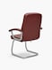 Galaxy Design Brown Office Visitor Chair &ndash; Ergonomic Chair with Lumbar Support, Chrome Cantilever Base, Faux Leather Seat &amp; Padded Armrests