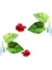 Betta Bed Leaf Hammock, 6 Pcs Double Leaf Betta Fish Leaf Pad Lightweight and Realistic Resting Spot Improves Betta&#39;s Health by Simulating The Natural Habitat Comfortable Rest Area for Fish Aquarium