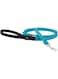 Lupine Basics 1/2in Aqua Leash 4 foot, 122cm