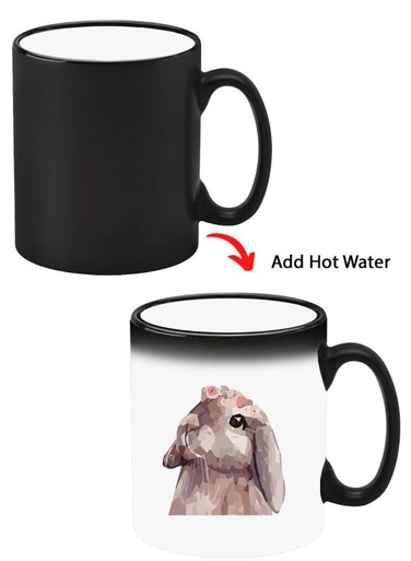 Color Changing Heat Sensitive Ceramic Mug, Image Revealed When HOT Liquid is Added! Rabbit