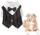 ELECDON Pet Clothes - Dog Clothes, Bow Tie Costume, Dress-up Formal Tuxedo Suit for Puppy Teddy Cat Small Pet Indoor Wedding Party Outfit (Black Size M)