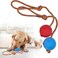 2 Pack Rope Dog Toy, Fetch and Catch Toys Durable Rubber Balls Tug of War Play Interactive Pet Game Canine Activity Accessory Elastic Solid Toy for Fetch, Catch, Throw and Tug of War 6 cm, Blue + Red