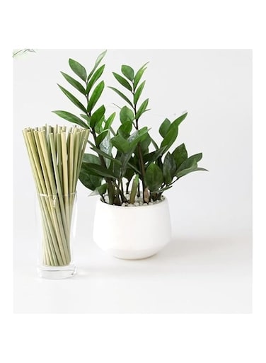 Ayra Ethnic Eco Friendly Grass Drinking Straw