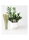 Ayra Ethnic Eco Friendly Grass Drinking Straw