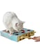Cat Games for Indoor Cats,Cat Interactive Toy With cat scratching, Wooden Solid Upgraded Version Whack A Mole Mouse Game Puzzle Box Toy Best Cat Toy Ever