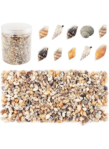 TERRIFI Shell Bead, Tiny Sea Shells, Ocean Beach Spiral Seashells, Craft Charms for Home Decorations Beach Theme Party Candle Making Jewllery DIY Crafts Fish Tank and Vase Filler(2000 Pcs)