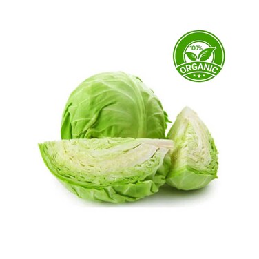 Organic White Round Cabbage
