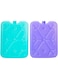 D&eacute;cor Ice Pack for Lunch Box, Bags and Coolers, Pack of 2
