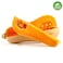 Organic Pumpkin Butternut