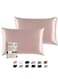 Satin Pillowcase for Hair and Skin, Super Soft and Cooling Similar to Silk Pillow Cases 2 Pack with Envelope Closure, Gift for Women Men(20"x26" Standard Size) (Pink)
