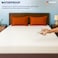Armour Plus Protector   Mattress Protector   Waterproof Premium Cotton Mattress Protector   Breathable   Hypoallergenic