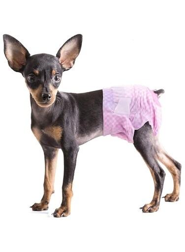 Mumoo Bear Dog Diapers Female - Disposable Dog Diapers, Cat Diapers for Female Cats, Puppy Diapers with Adjustable Foam Tail Hole 10pcs (S,Pink)