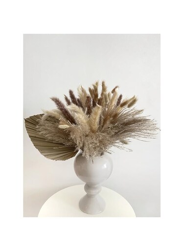 Gallery 66pcs Dried Palm Leaves Pampas Grass Decor 45cm Pampas Grass Branches Dried Bunny Tails Reed Decoration Natural Dried Pampas Grass Decor for Flower Arrangements Wedding Home Decor