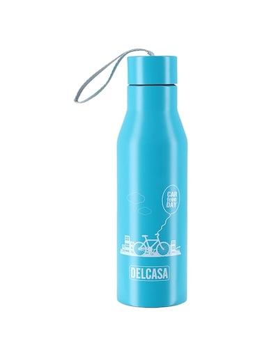 DELCASA Vacuum Bottle, 950ml Stainless Steel Bottle, DC2163, pink &amp; blue