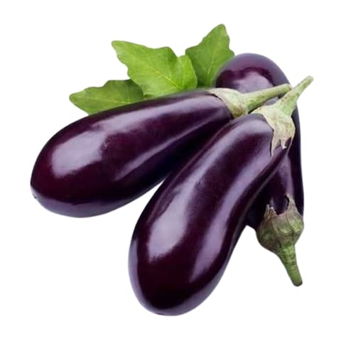 باذنجان