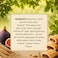 Carrefour Bio Organic Fig Bars, 120g