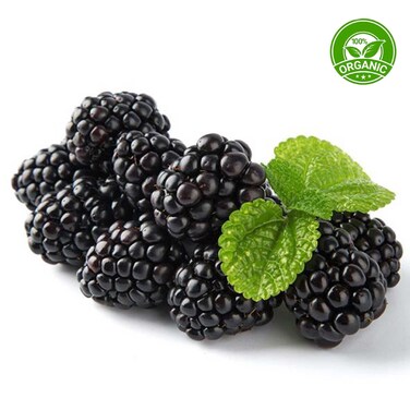 Organic Blackberries
