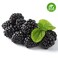 Organic Blackberries