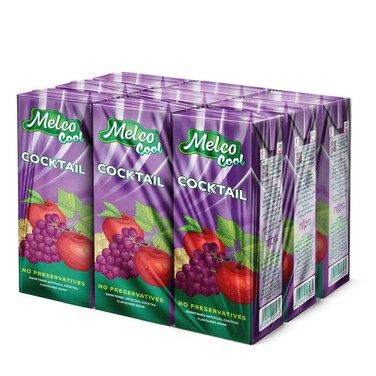 ميلكو مشروب بنكهة كوكتيل الفواكه 250 ملل حزمة من 9