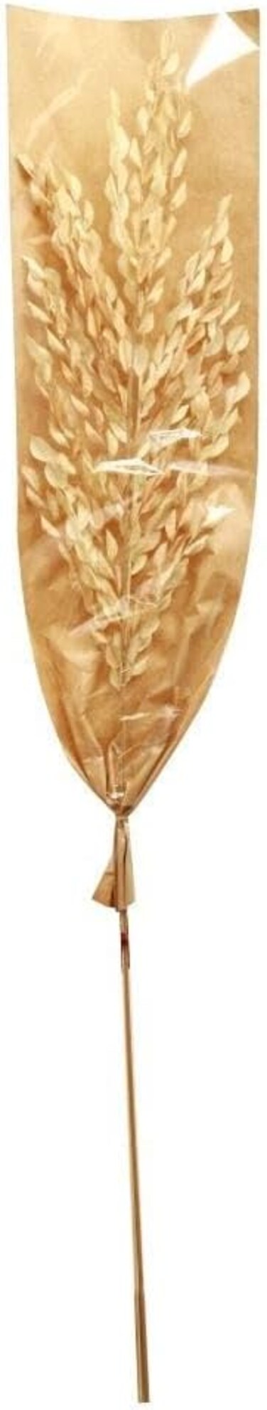 دانوب هوم زاريا ورق نار 150 قطعة 2 عصا في ورق طبيعي 148 سم