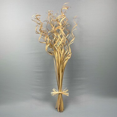 Danube Home Fleur Palm Curly Ting Ting Sticks - Natural Brown 60cm Preserved Flower Decorations For Home Decor &amp; Event Styling Timeless Floral Decor Collection Decorative Home Accessories