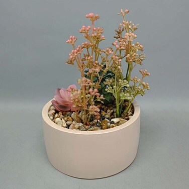 Danube Home EC-Nomad Succulent Planter 13X13X18cm
