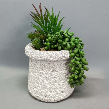 Danube Home EC-Nomad Succulent Cement Planter 15X13X21cm
