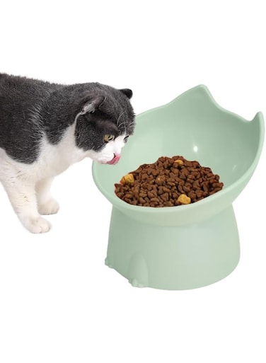 NeoStyle Cat Bowl, Elevated Cat Food Bowl, Tilted Elevated Cat Bowl, Easy to Clean, Suitable for Cats and Dogs to Use (Green)
