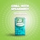 Tic Tac Spearmint Flavored Mints, On-the-Go Refreshment, 18g