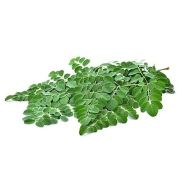 Moringa Leaves