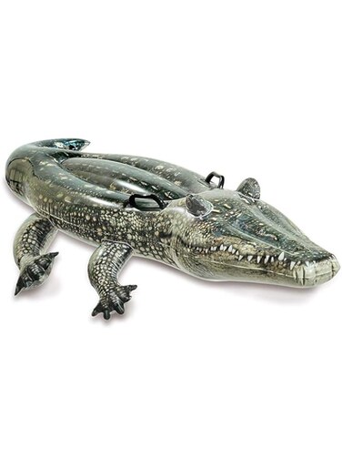 Intex Realistic Gator Ride-On, Multi-Colour, 67 x 34 Inches, 57551