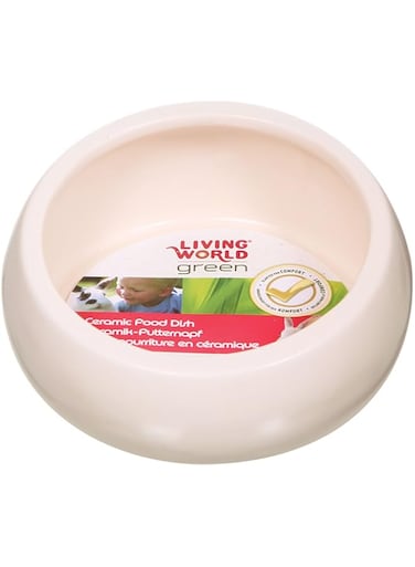 Living World Green Ceramic Food Dish/ Bowl, 300 ml