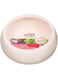 Living World Green Ceramic Food Dish/ Bowl, 300 ml