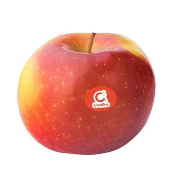 Apple Club Candine