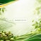Basma Frozen Green Okra 400g