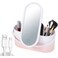 Travel Makeup Organizer with Mirror &ndash; Portable Cosmetic Case with Dimmable LED Lighting
