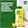 Dettol Fresh Shower Gel &amp; Body Wash, Citrus &amp; Orange Blossom Scent, 250ml Pack of 2