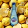 Oasis Blu Lemon Flavoured Sparkling Water, 500ml, Pack of 6