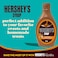 Hershey's Indulgent Caramel Flavour Syrup, 623g