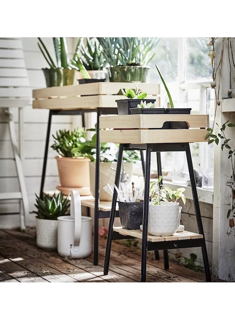 Generic Plant Stand Pine Black 55cm