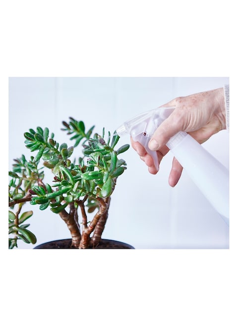 Generic Spray Bottle White