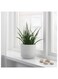 Generic Plant Pot Grey 15cm