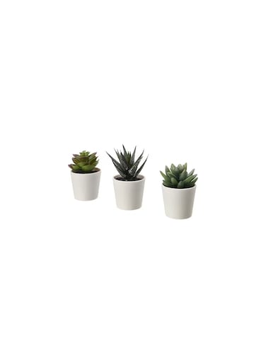 Generic Artificial Potted Plant With Pot In Outdoor Succulent