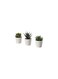 Generic Artificial Potted Plant With Pot In Outdoor Succulent