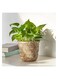 Generic Plant Pot Handmade Bamboo